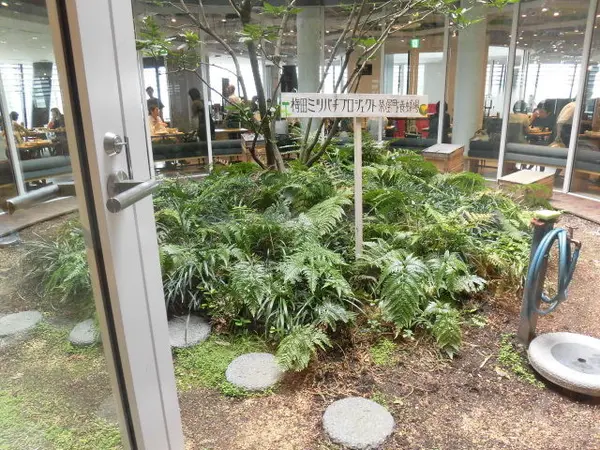 梅田ミツバチプロジェクト茶屋町養蜂場