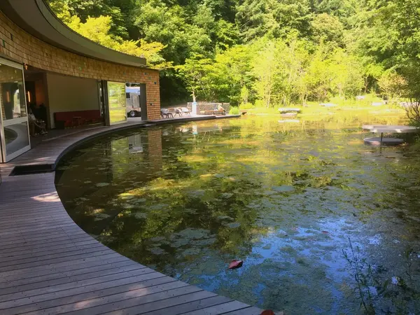 水辺と森林に癒されます🍃