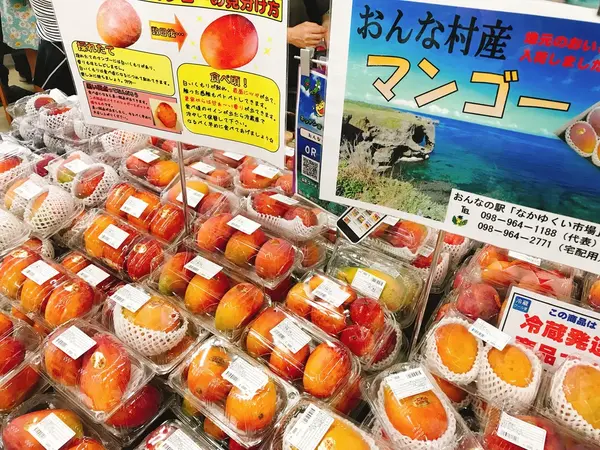 めちゃうまマンゴーの直売所