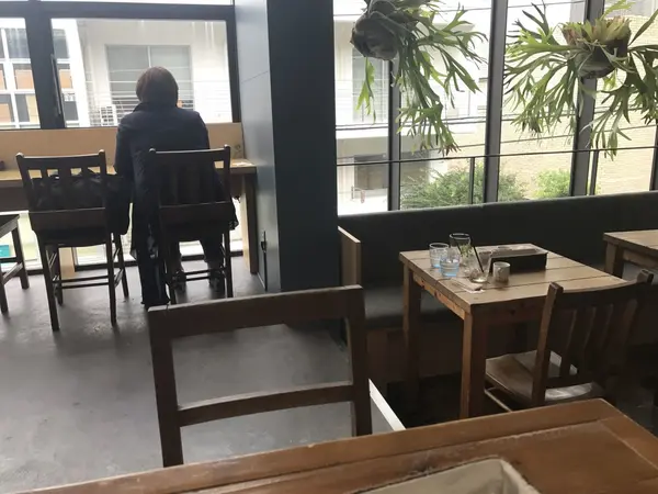 緑があって天井が高く落ち着いた感じ