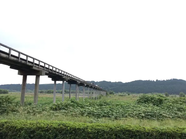 誰が作ったの？