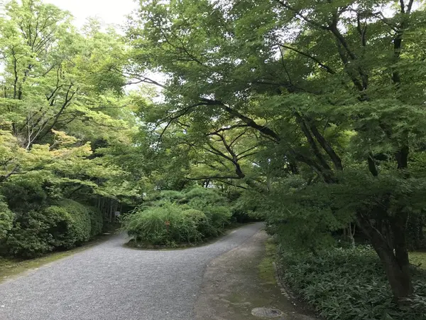 庭園