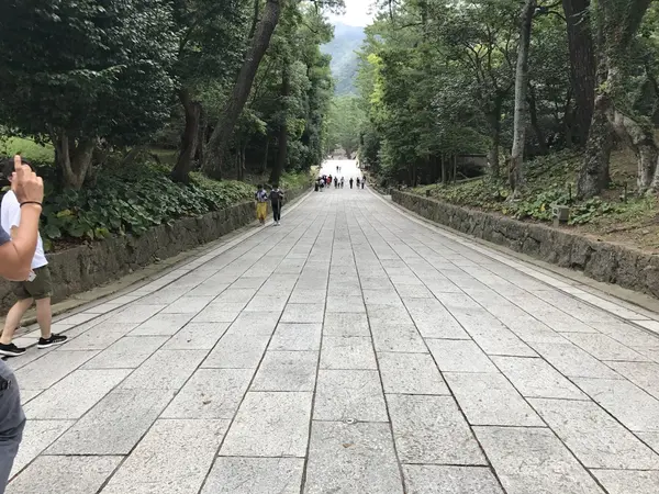 行きが下りなのは珍しいんですって。