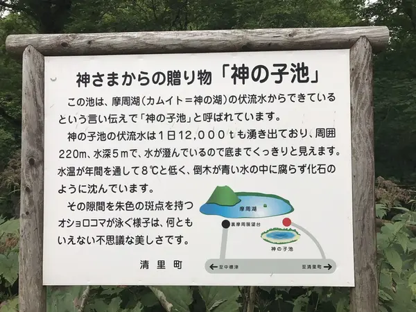 スポット内のおすすめ