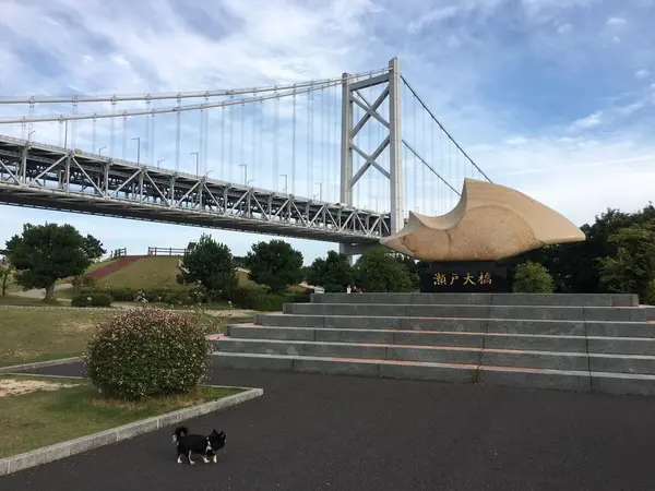 どこにいても