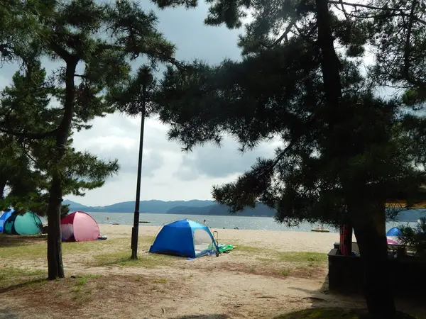 夏は海水浴場に