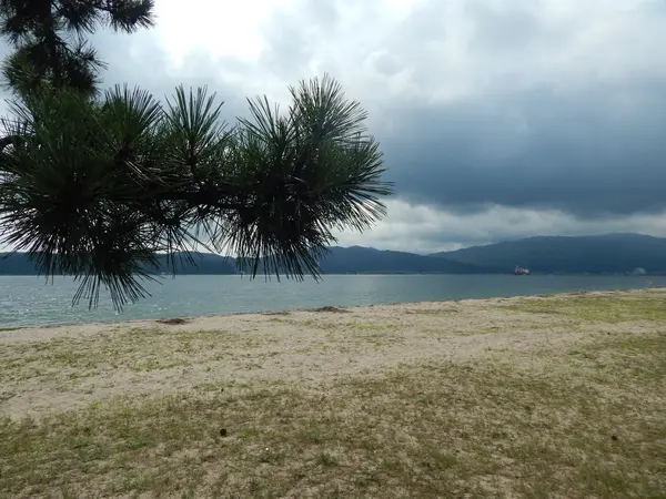 阿蘇海を見渡す