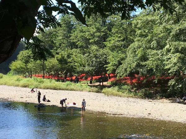 スポット内のおすすめ