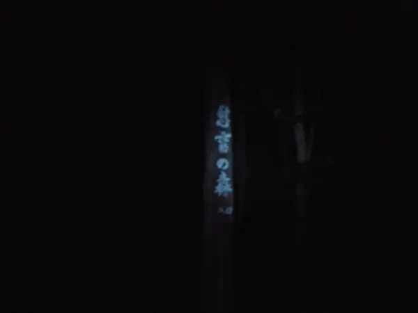 夜