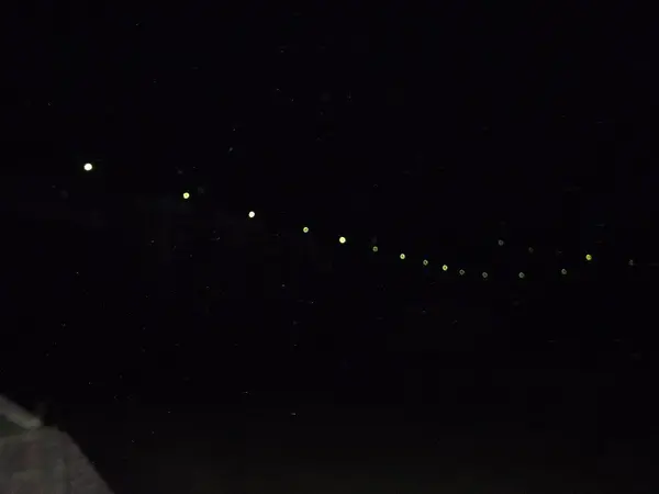 夜