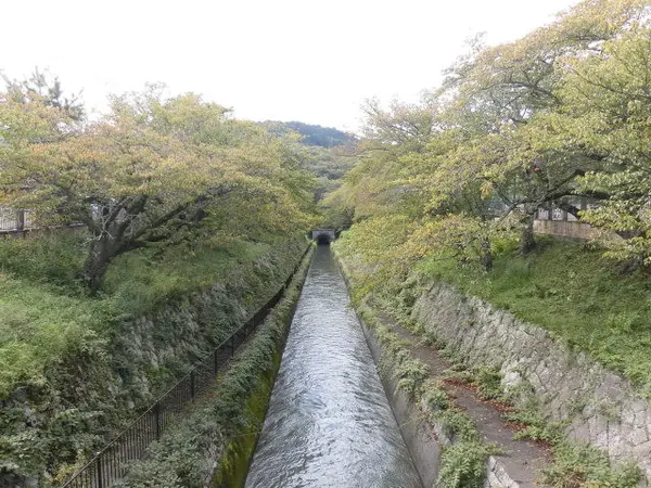 琵琶湖疎水