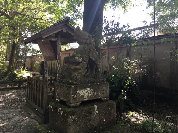 裏参道側の狛犬 阿形