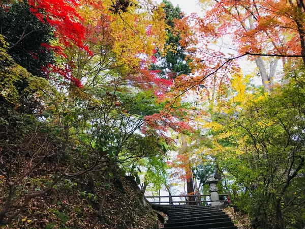 絶景！もみじ寺