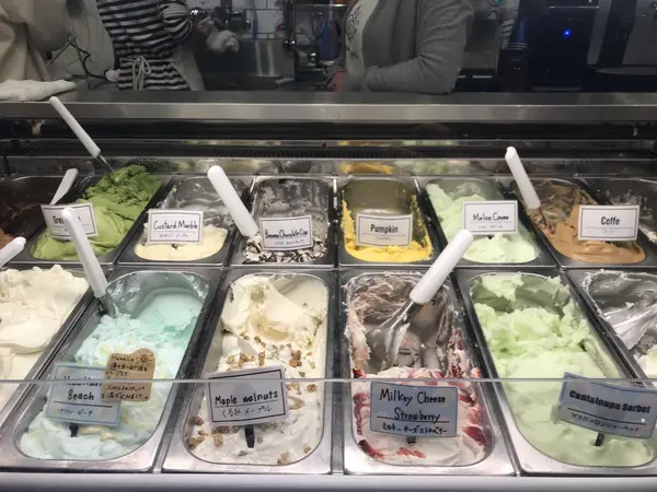 スポット内のおすすめ