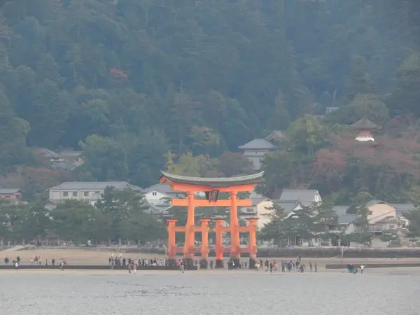 大鳥居に大接近！