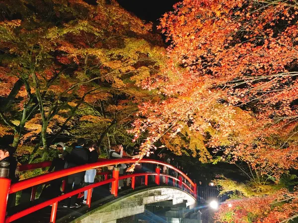 河鹿橋