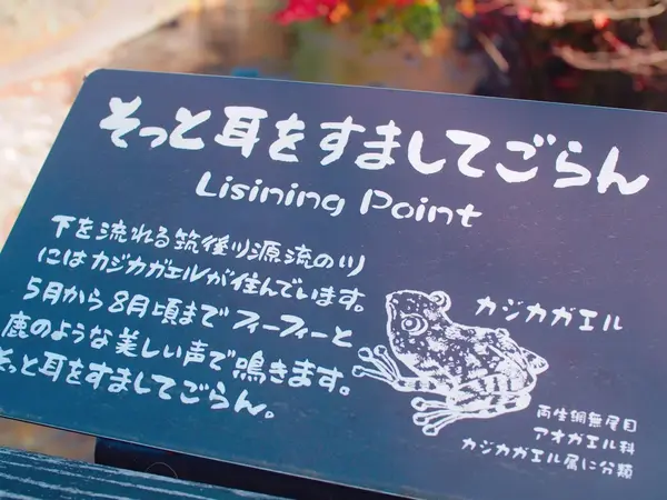 スポット内のおすすめ