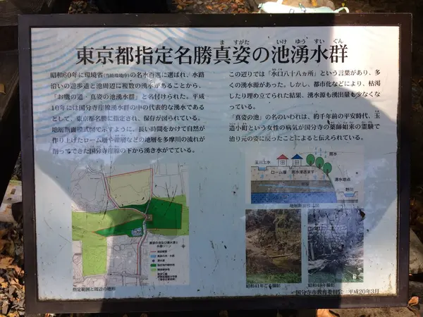 真姿の池  湧き水群