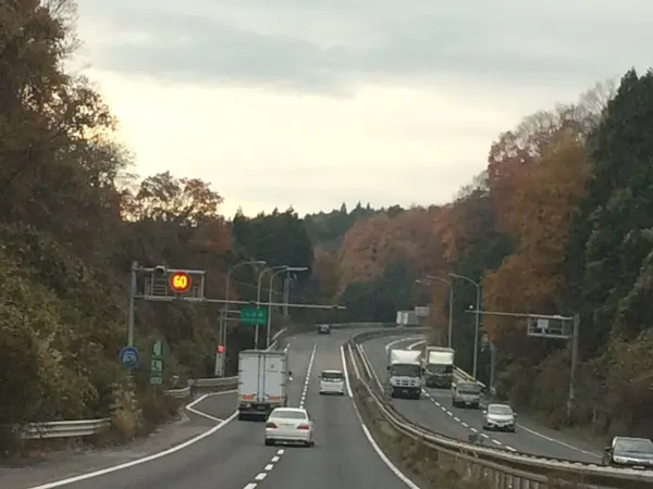Box車 も 加速中