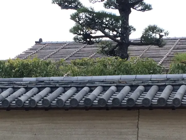 桧皮葺  ヒワダブキ