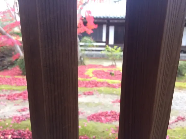 格子越しに見た 風景です ②