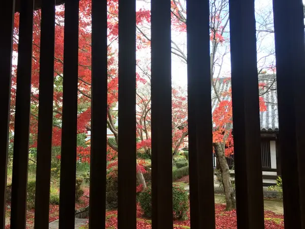 もうちょっと 離れて 観ると・・・  ③