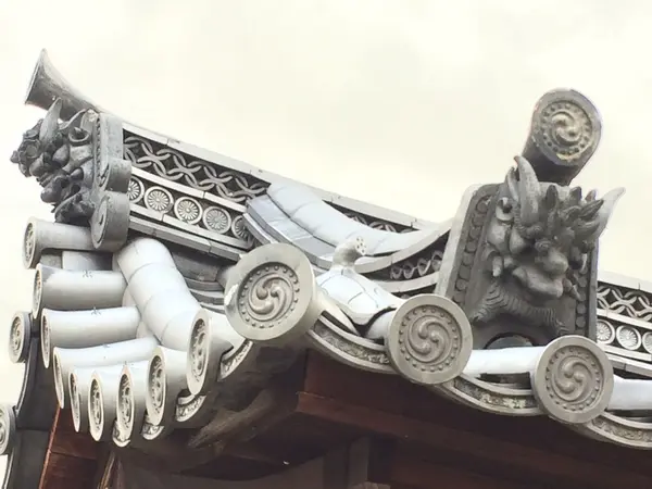 真ん中、亀 なのかなぁ〜？ 🐢