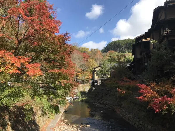 お散歩はいかが？