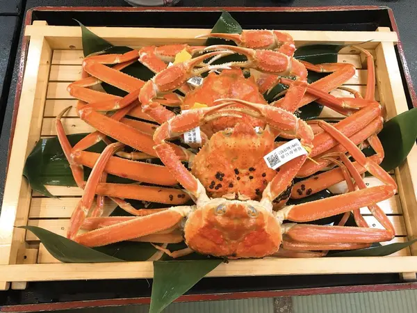 越前ガニ 🦀