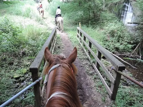 散策中