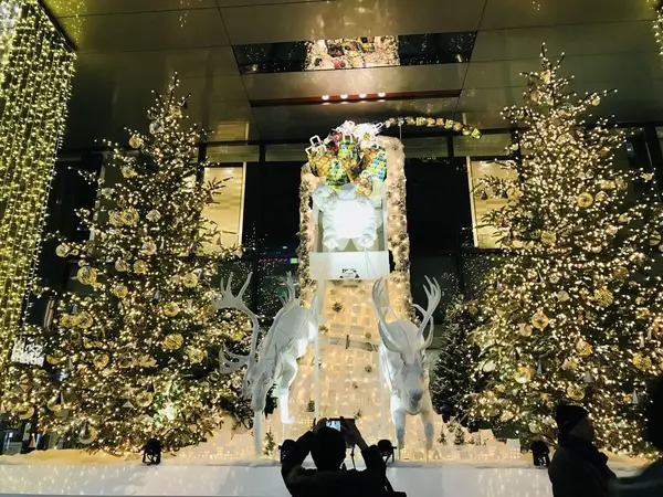銀座によったときは目の前を通って見てください…🎄