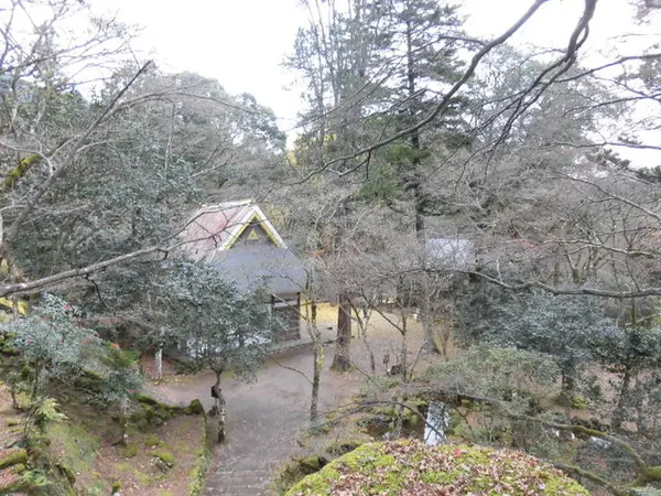 天目かえで