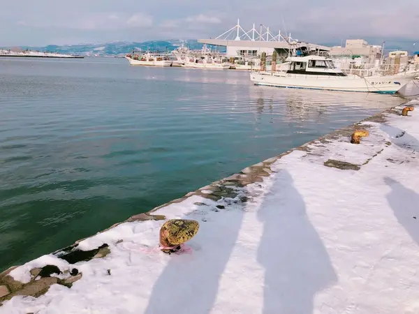赤レンガ倉庫目の前の海と雪のコラボもステキです✨