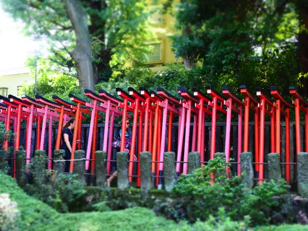 横からの眺めのオススメ