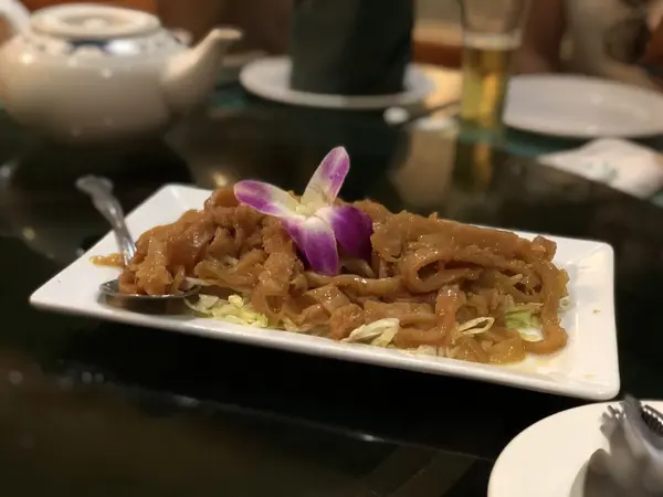 クラゲ
