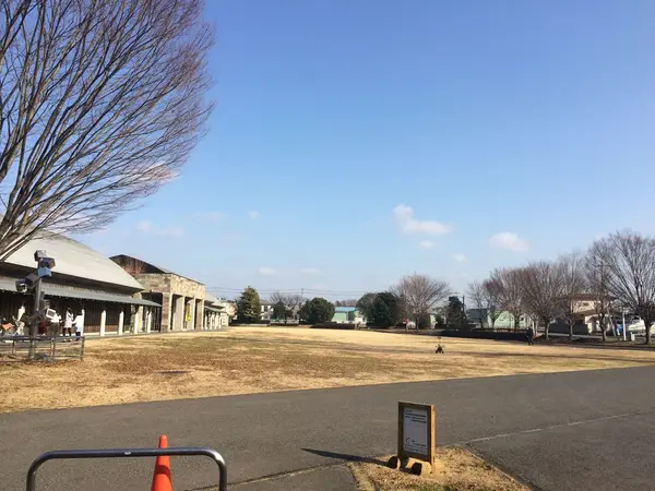 入口の芝生広場