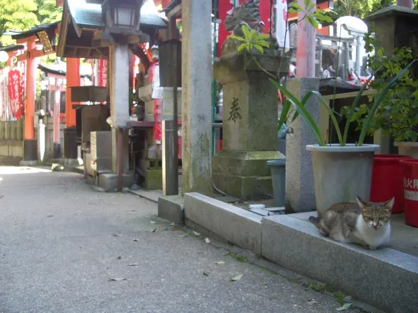 小休憩