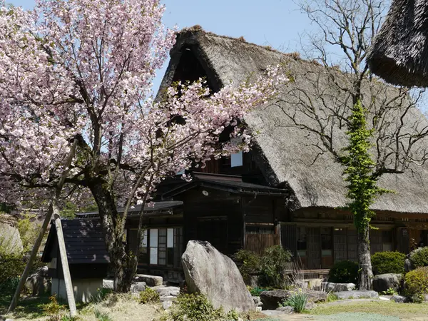 神田家