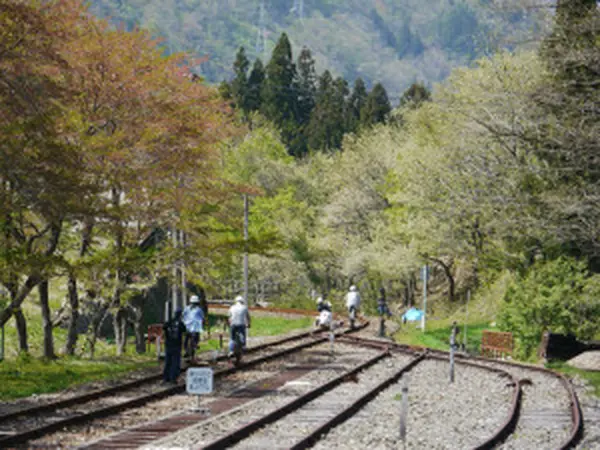 コース