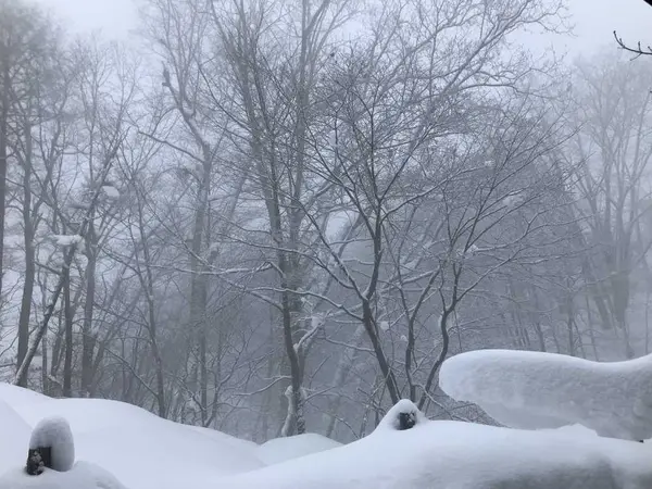 露天風呂からの景色