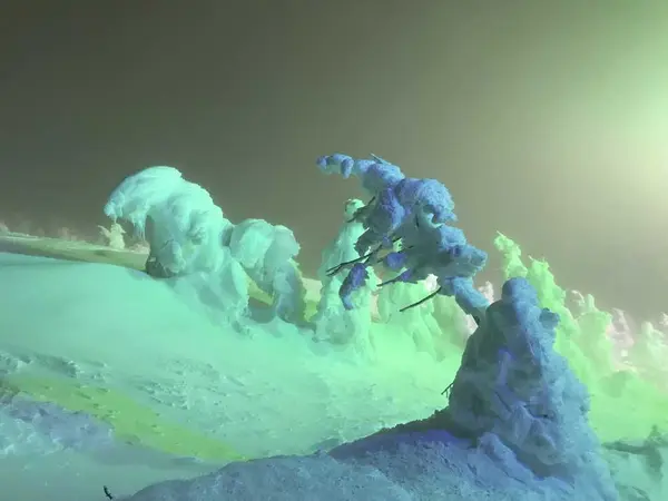 樹氷の世界３