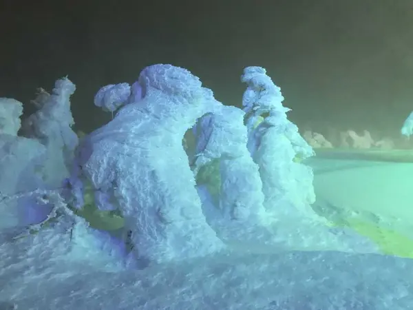 樹氷の世界２