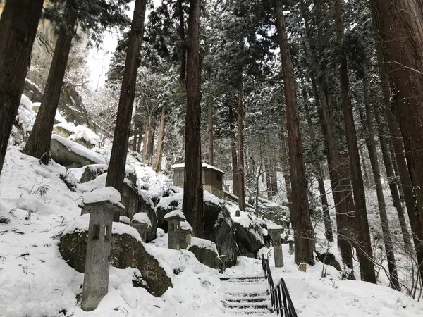 手すりに捉まり腕力で登ります