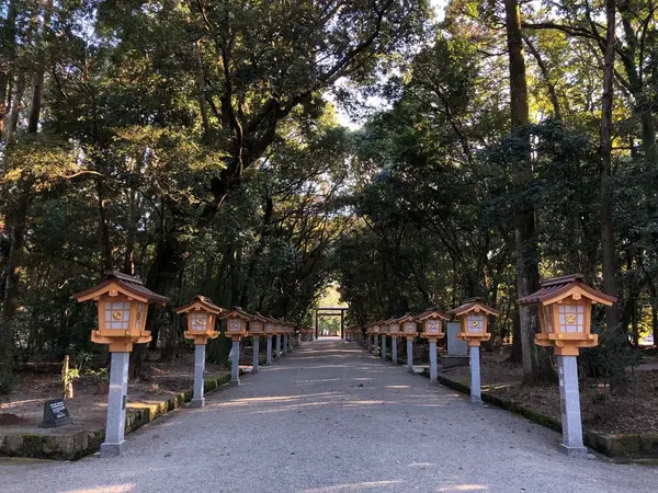 木々の間の参道