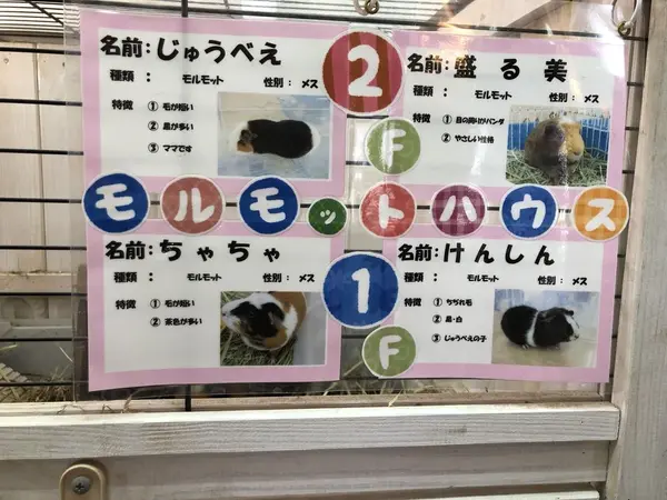 スポット内のおすすめ