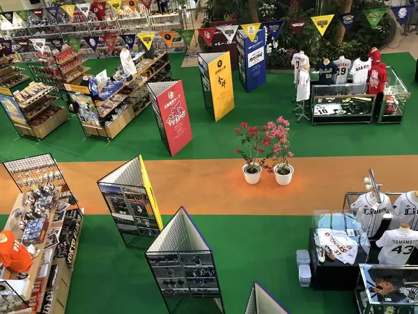 プロ野球キャンプ