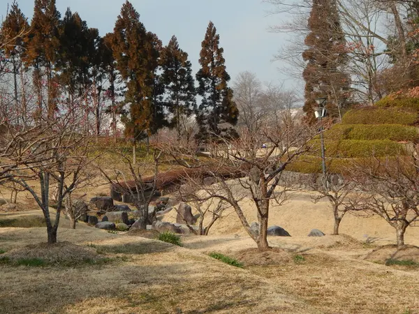 梅林