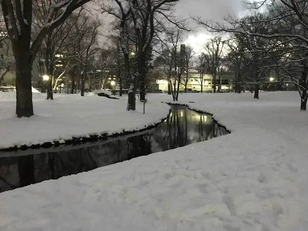 陽子がレース編みしてた場所
