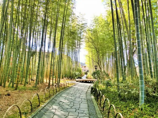修善寺温泉