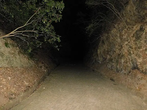 今夜の寝床へ